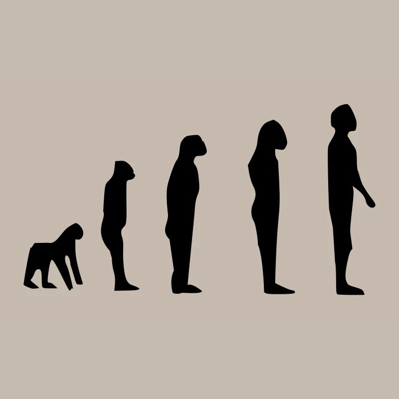 Darwin Evolution