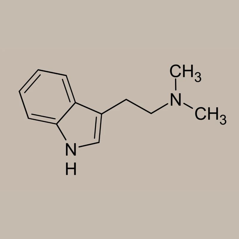 DMT dimethyltryptamine formule structurelle