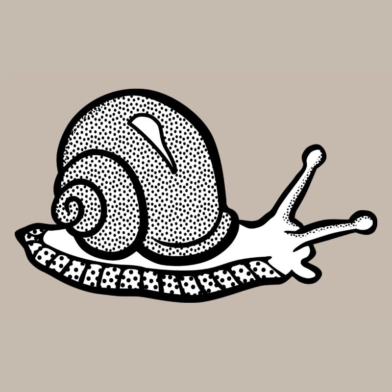 Snail black and withe