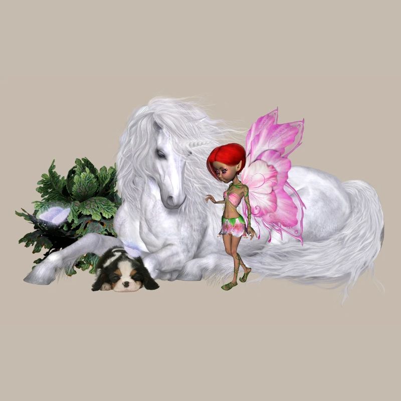 Merveilleuse licorne avec fée