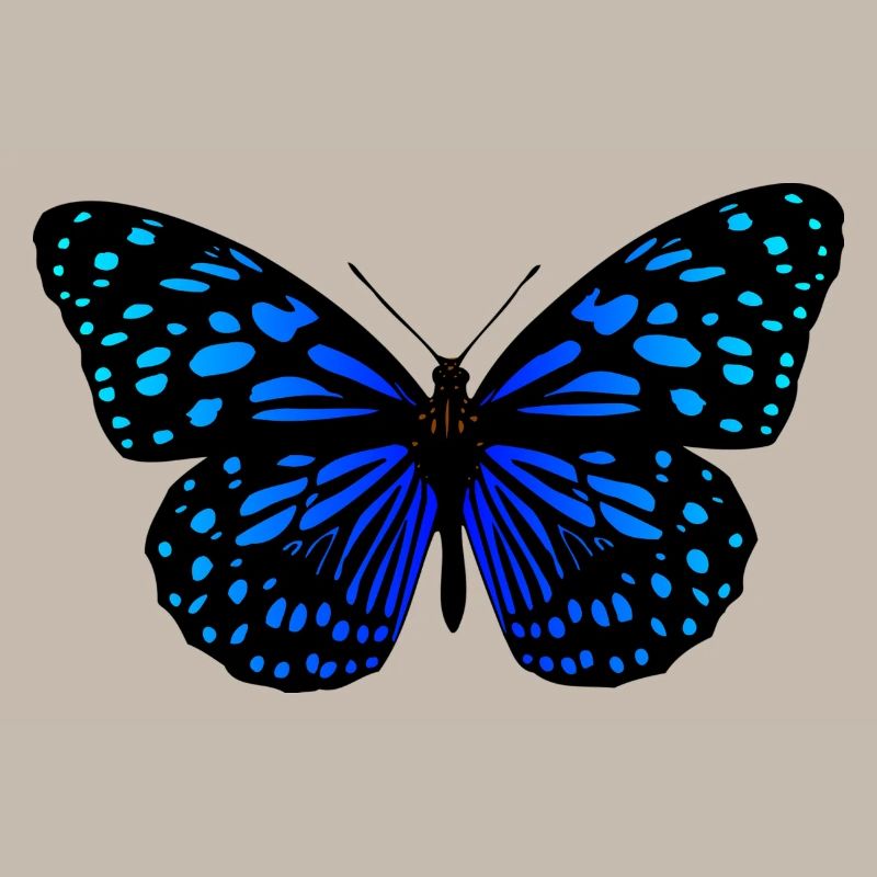 Idée cadeau Papillon Bleu