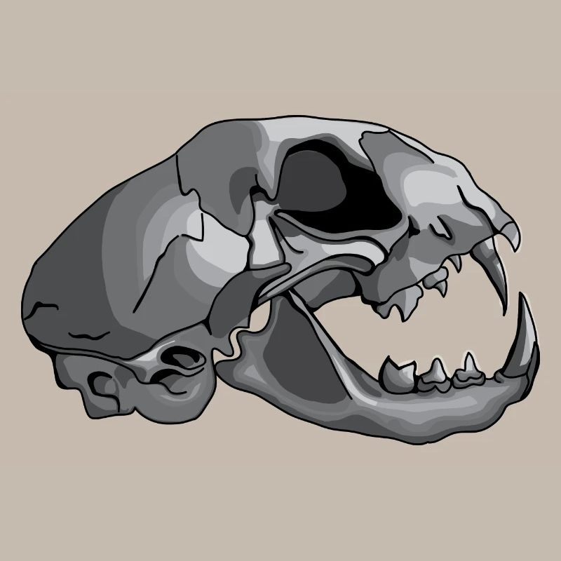 cat skull