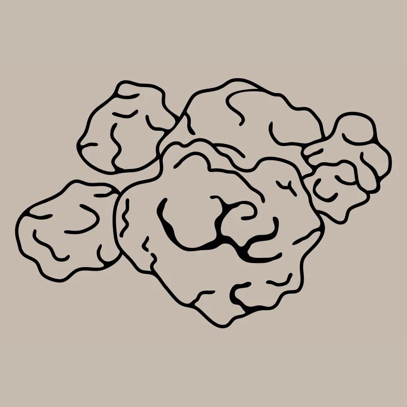 truffes