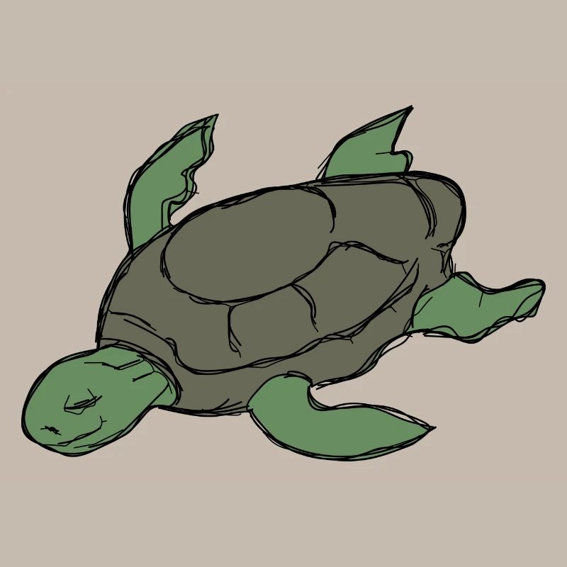 Tortoise