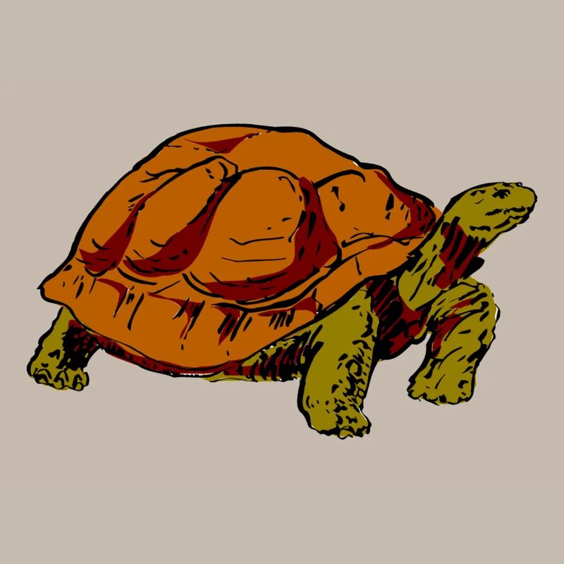 Schildkröte