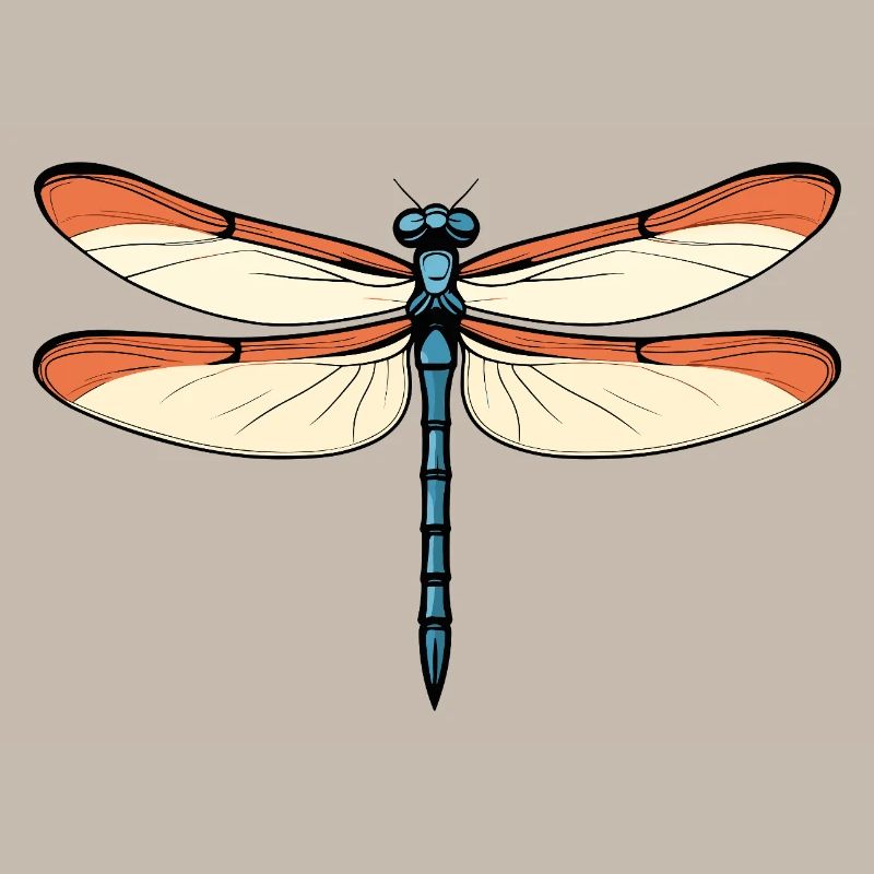 Libellule bleu-orangée