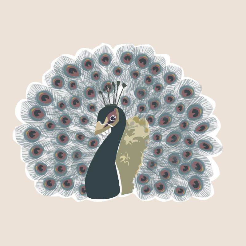 Peacock with wheel