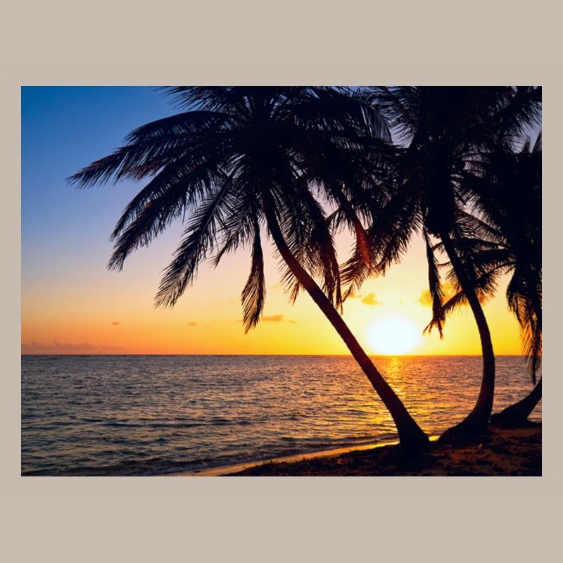 Coucher de soleil