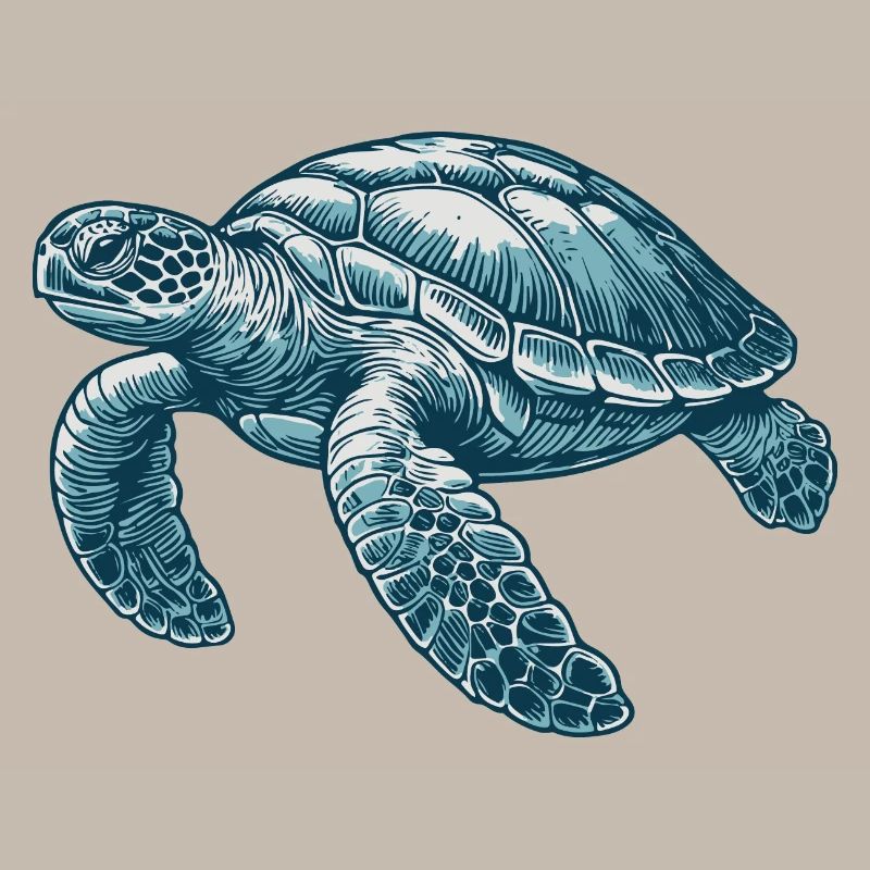 Sea turtle