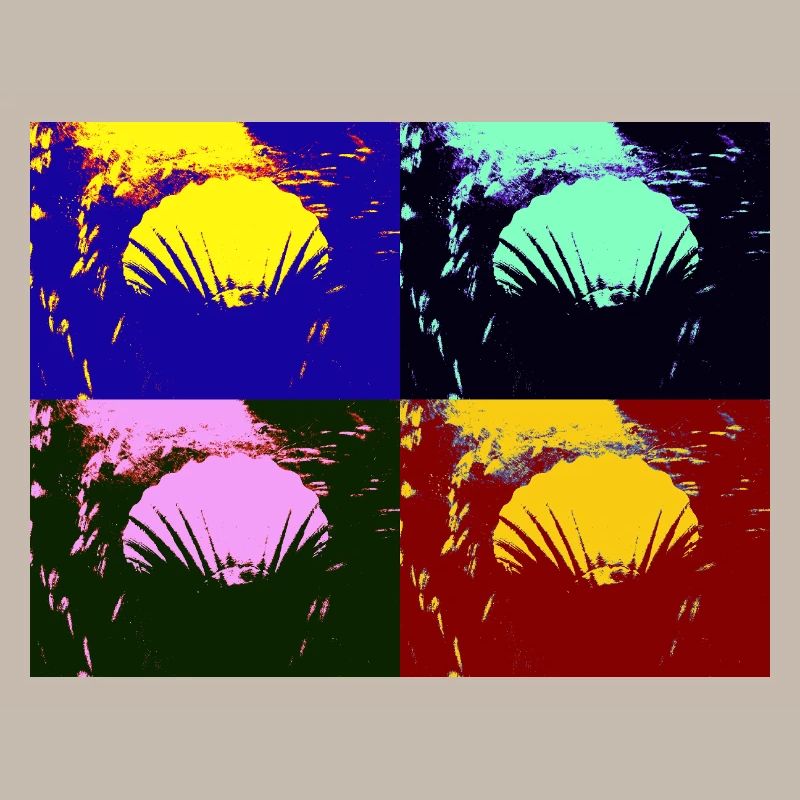 Shell