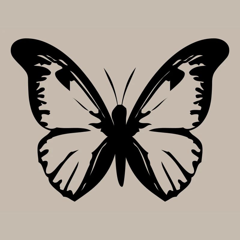 Schmetterling