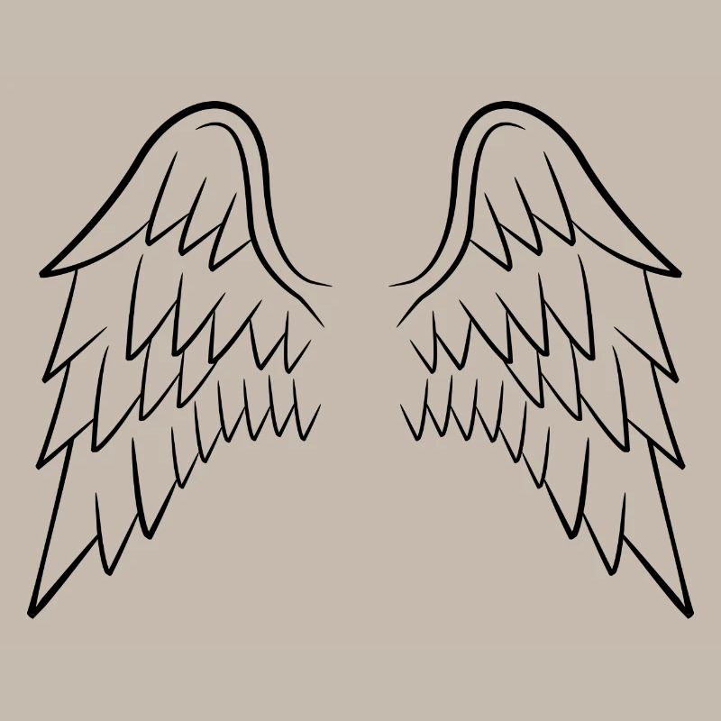 Ailes d'ange ailes