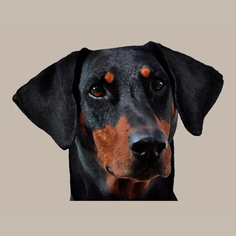 Dobermann