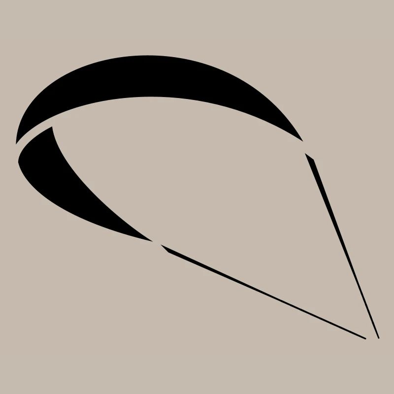 Gleitschirm Kite
