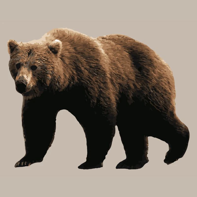 Brauner Bär
