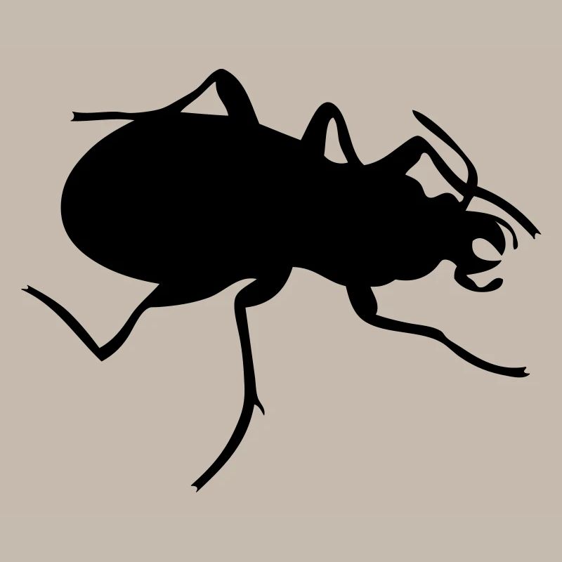 Käfer