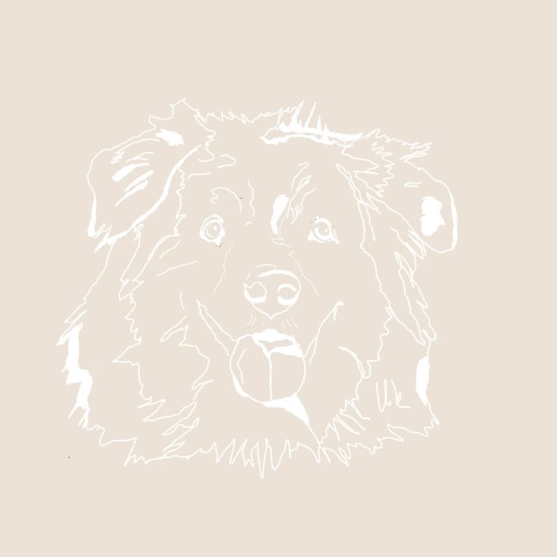 Australian Shepherd