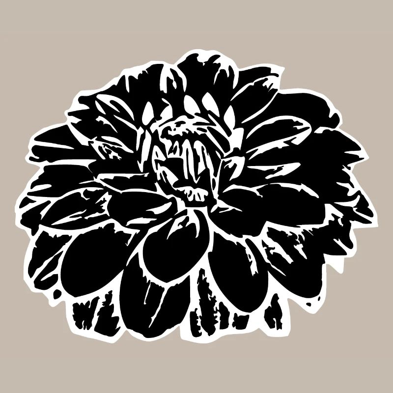 Fleur fleurs noires fleurs noires fleurs graphiques