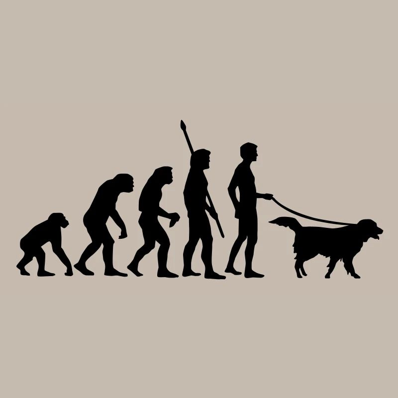 evolution_dog