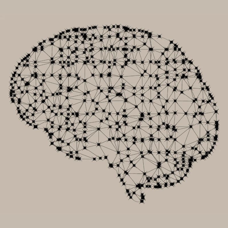 Brain
