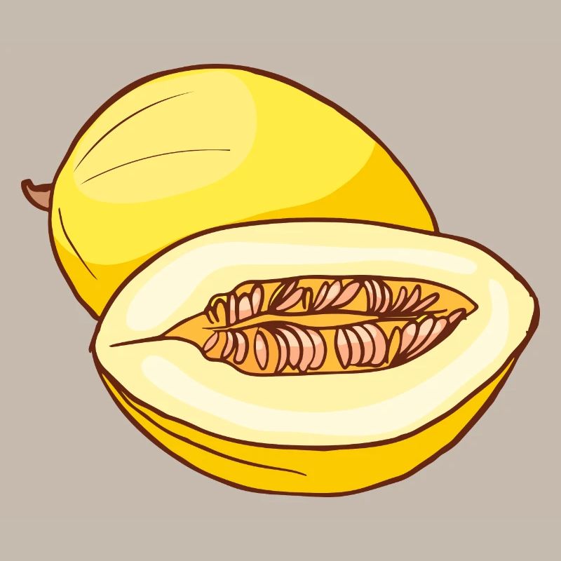 Honeymelon Sugar Melon