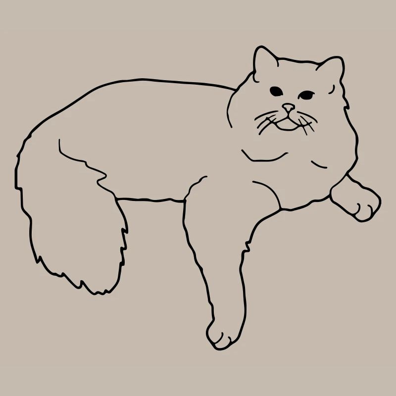 ragdoll