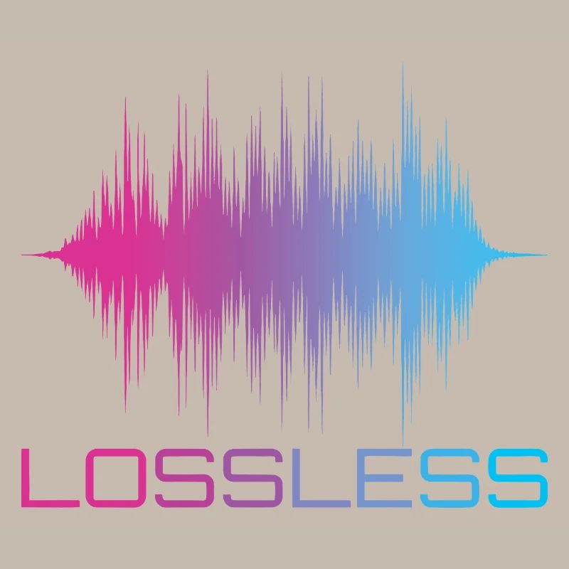 Format audio sans perte Son audiophile