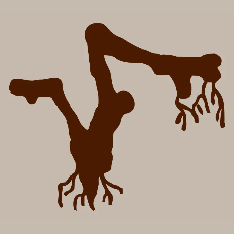 Root