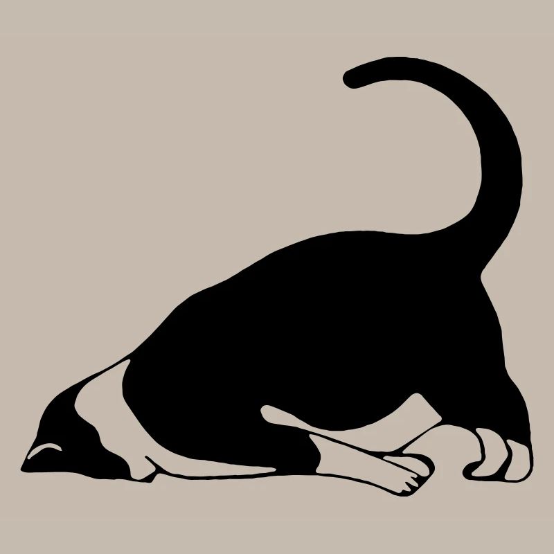 Sleeping cat