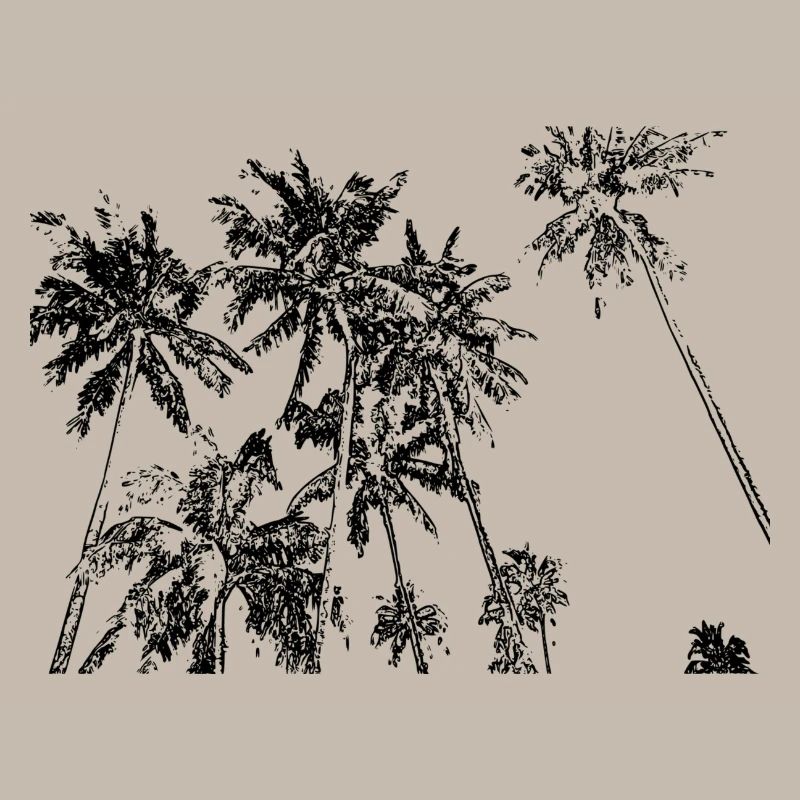 Palm trees