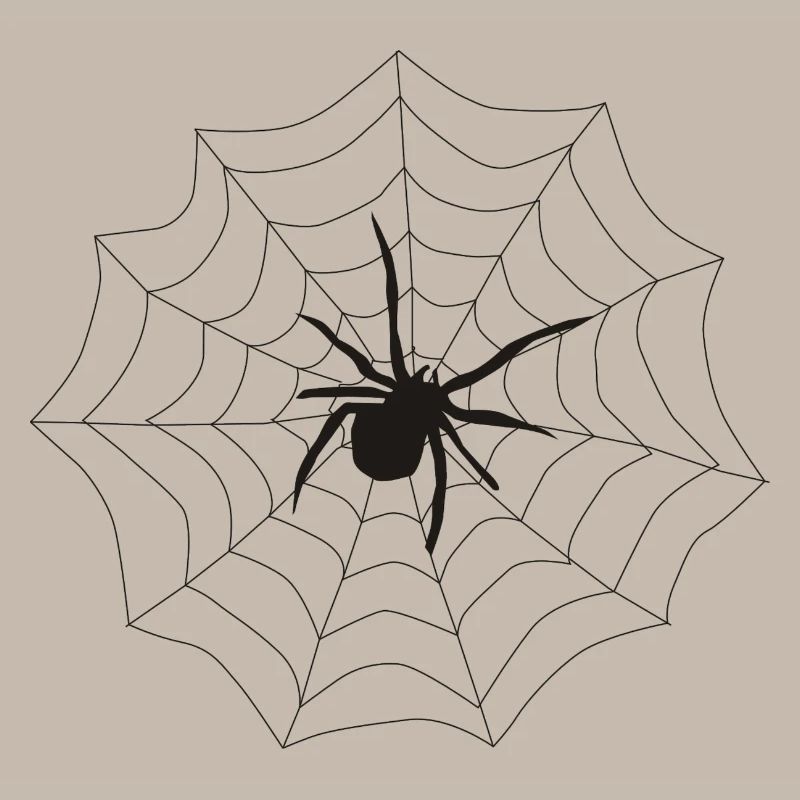 Spinne Netz