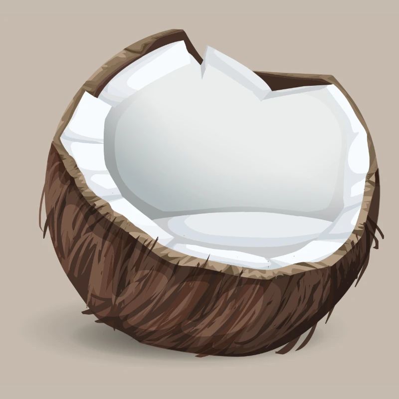 Coconut - Tropical Gift Idea