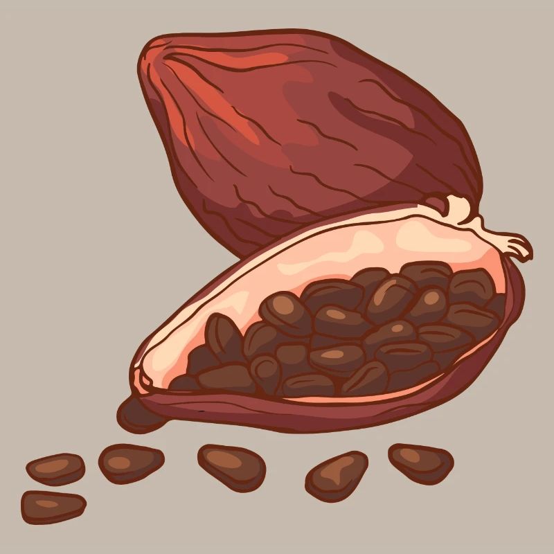 Cacao choucé chocolat cacao fèves