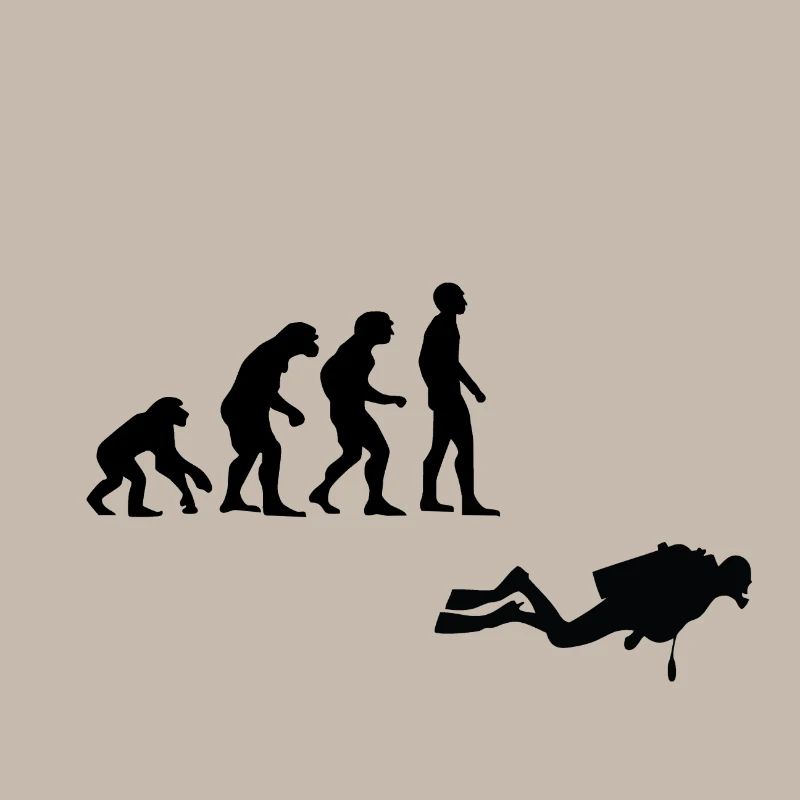 Plongée évolution