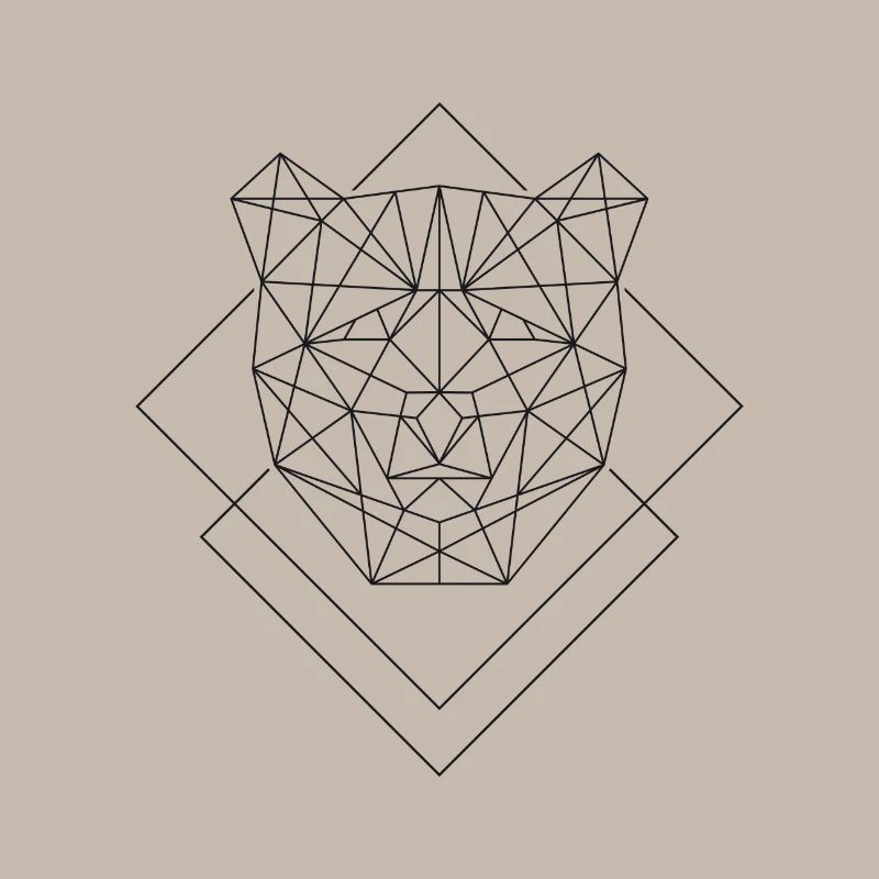Polygone ours
