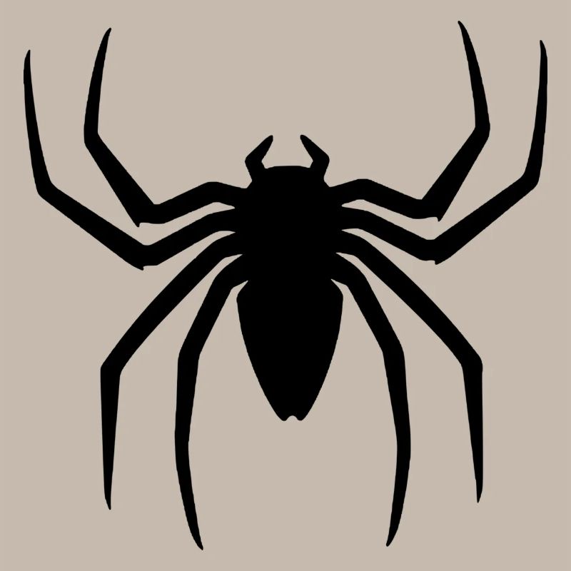 Black spider halloween gift idea