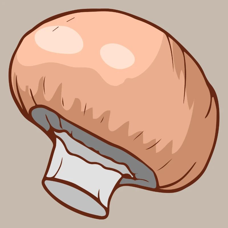 Champignons Egerlinge Angerlinge champignons