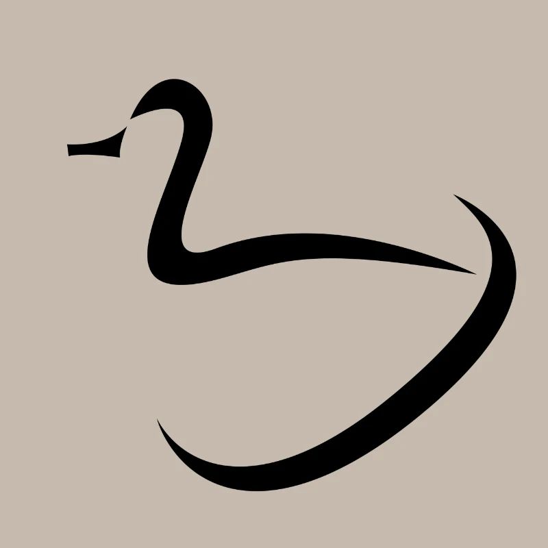 Conception de canards