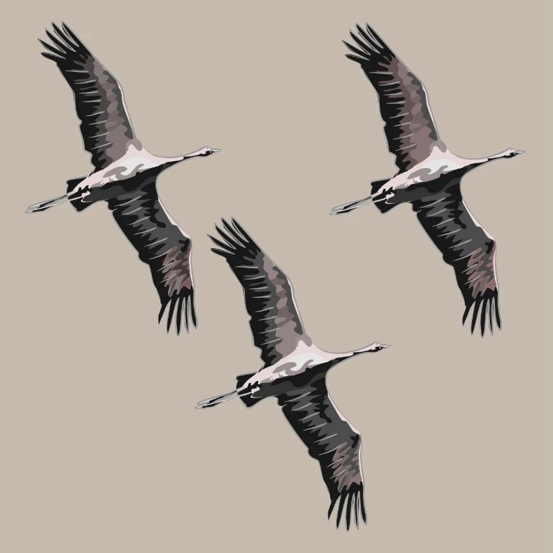 Grues migratrices d’oiseaux dans les tons de gris