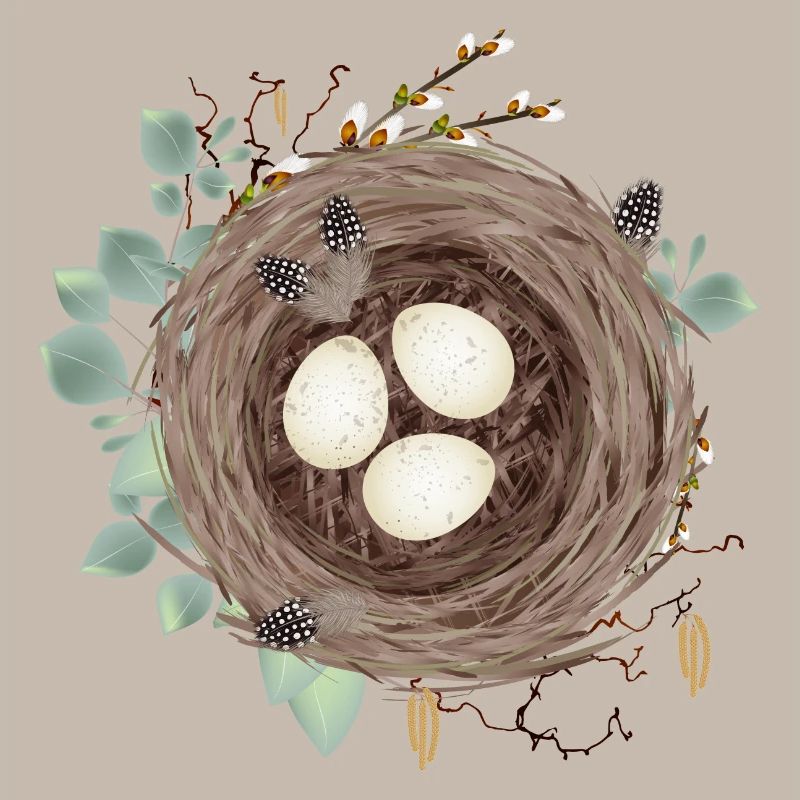 Vogelnest oder Osternest mit drei Eier und Federn