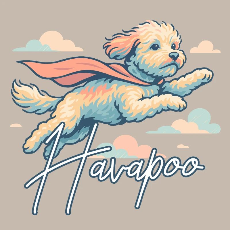 Super chien Havapoo Cape Cape cadeau