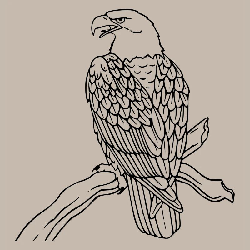 eagle208