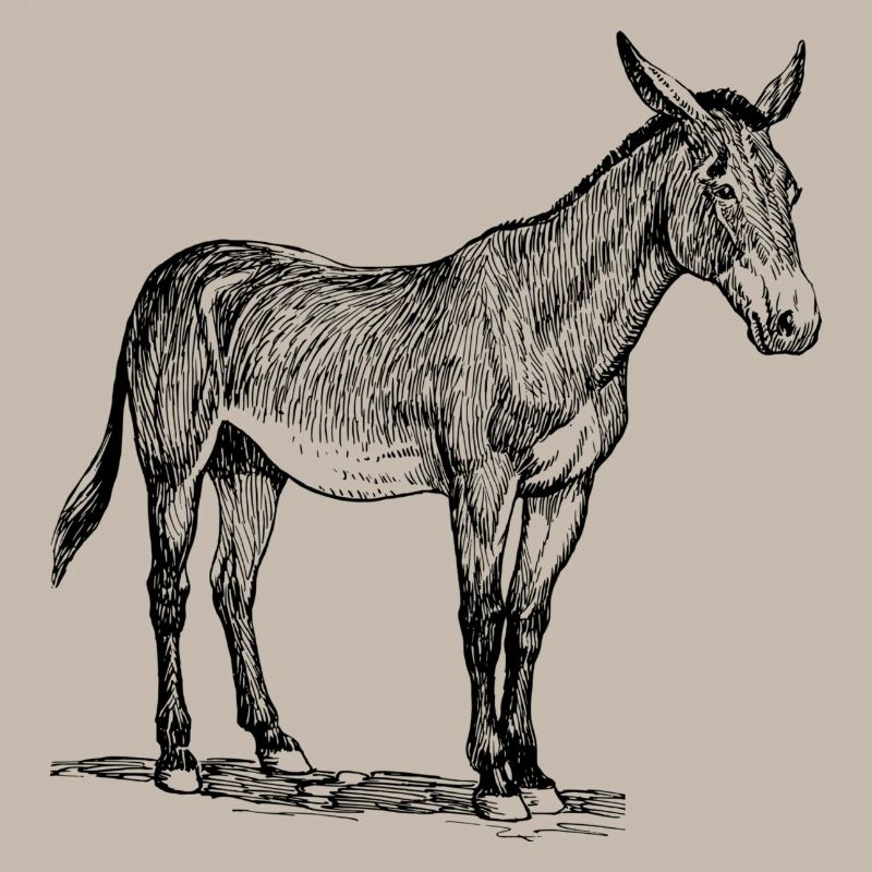 ass