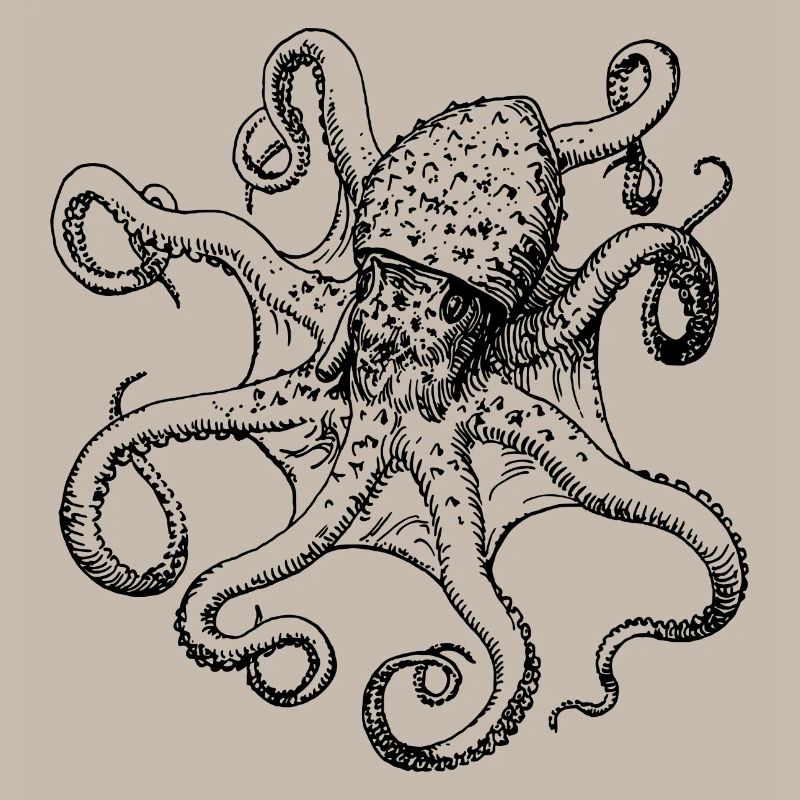 squid giant octopus octopus octopus squid sepia fish