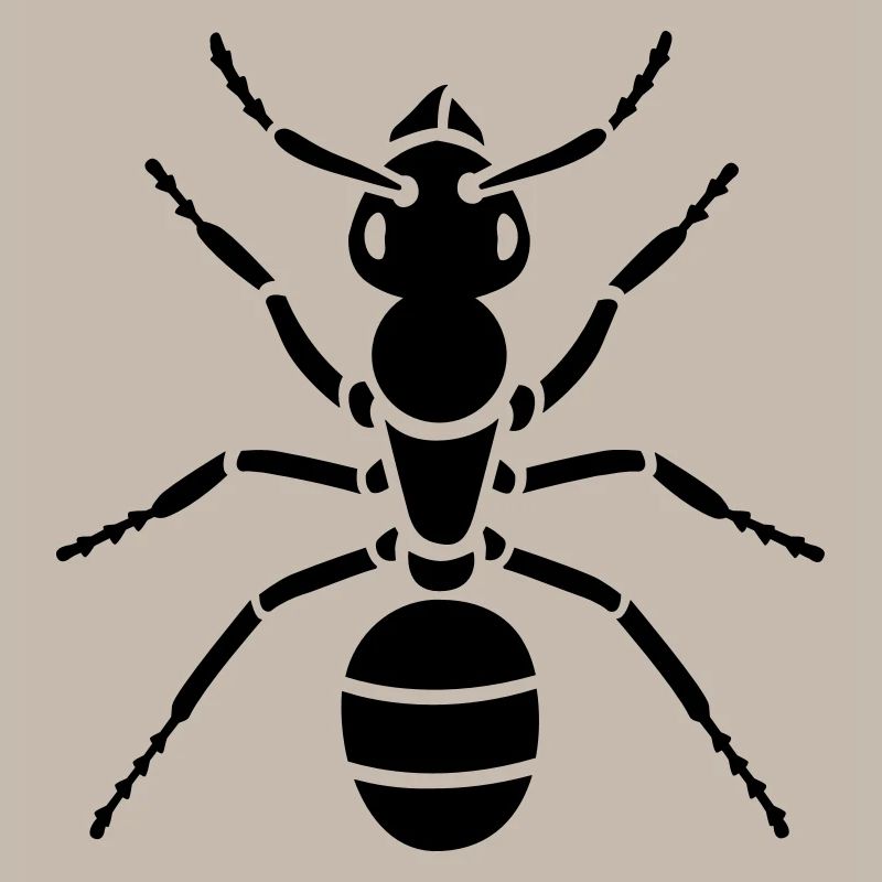 Insectes - Ant