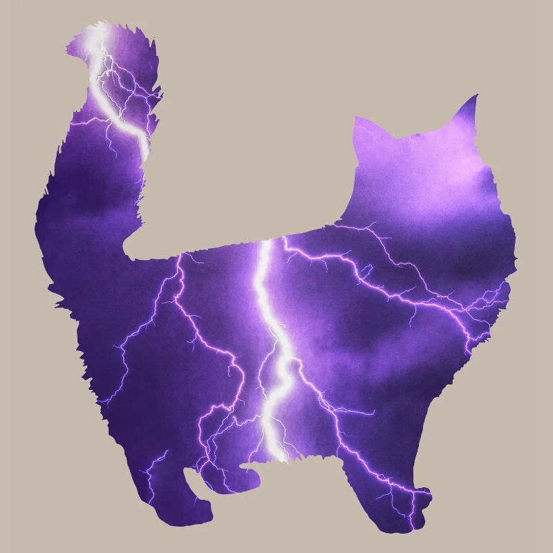 Cat Kitten Lightning Moon Stars Gift
