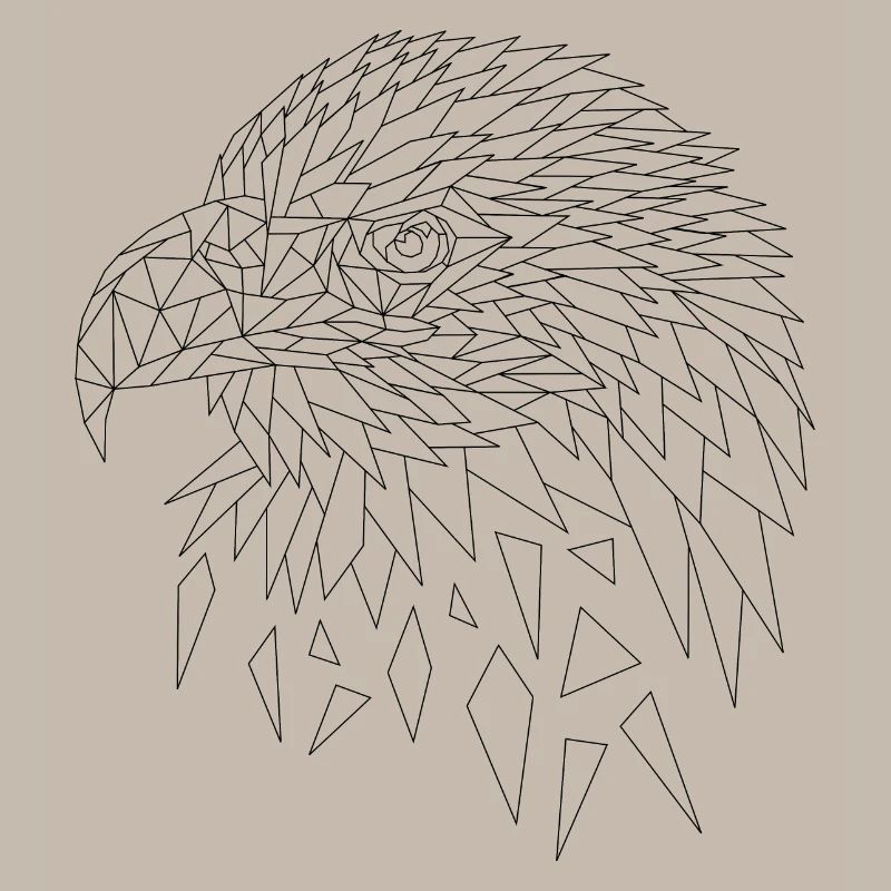 Seeadler Adler Polygone