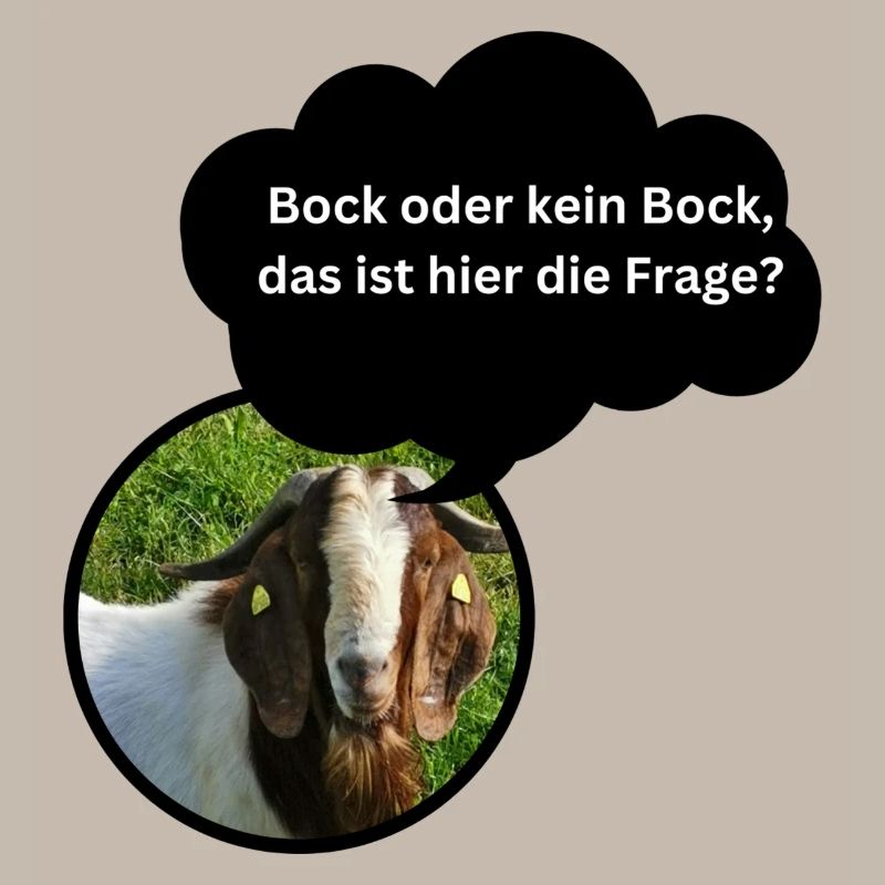 Fun Shirt "Bock oder kein Bock..."