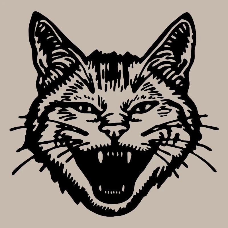 Katze Katzen Katzendame Katzenfreund Katzengesicht