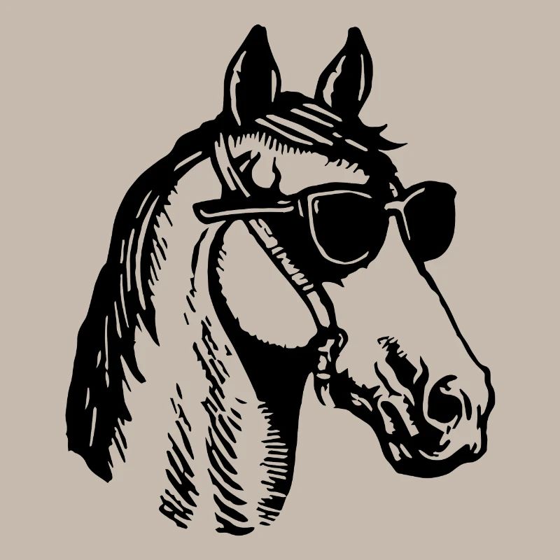 Cheval Chevaux Équitation Cavalier